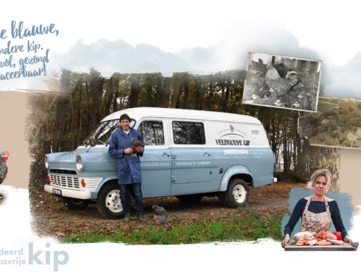 Afbeelding zonder ALT